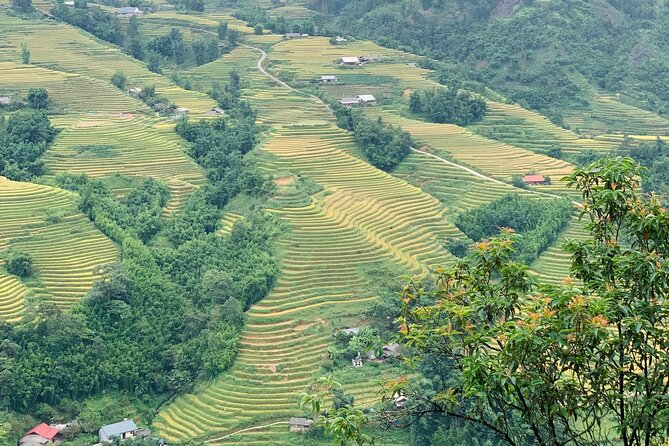 Sapa The Hidden Trail Trek 1 Day - Mountain & Rice Valley - Bamboo Forest + Village Lanes: The Middle Stretch That Keeps It Interesting