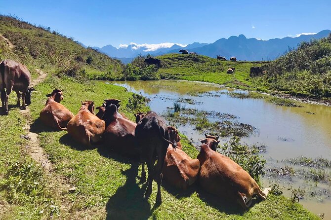 Sapa The Hidden Trail Trek 1 Day - Mountain & Rice Valley - Lunch on the Trail: Not Fancy, but It Often Feels Like the Real Point