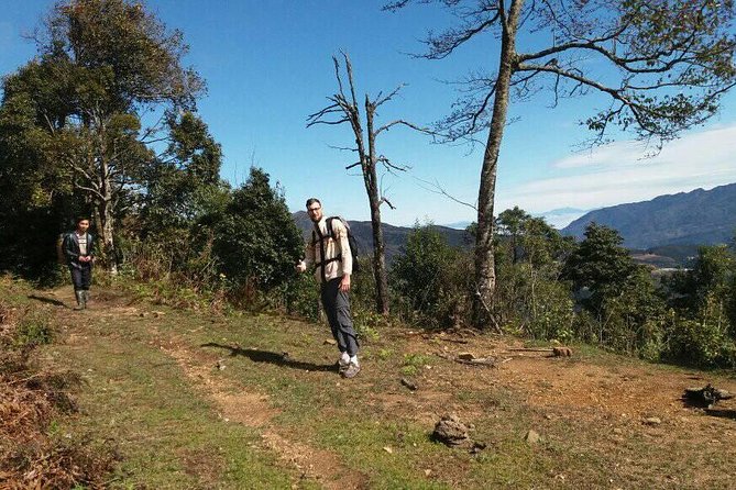 Sapa Tour: 2-Day Fansipan Trekking - Day 2: Summit Push and the Descent Back to Tram Ton