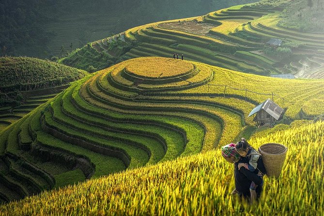 Sapa Trek Tours -2D1N Stay At 3*** -TRANSFER BY SLEEPING BUS - A Two-Day Sapa Trek That Starts Before Sunrise