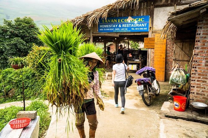 Sapa trekking 2days by bus from Hanoi ( over night in homestay) - Fitness, footing, and the real weather question