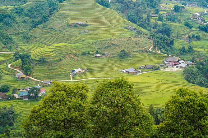 Sapa Trekking 3 Days 2 Nights (Homestay) - Departure From Hanoi - Why this Sapa trek feels different from a quick day hike