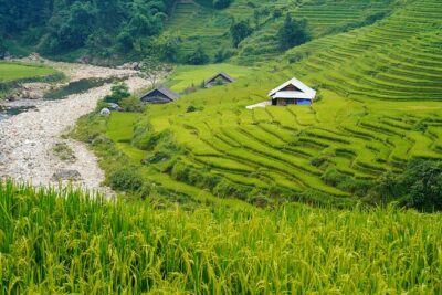 Sapa Trekking 3 Days 2 Nights (Homestay) - Departure From Hanoi - Day 1: 6:30 Hanoi pickup, ride to Sapa, then Y Linh Ho fields