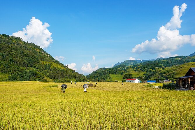 Sapa Trekking 3 Days 2 Nights (Homestay) - Departure From Hanoi - Day 3: Su Pan to Hau Thao viewpoints, then back to Sapa and Hanoi