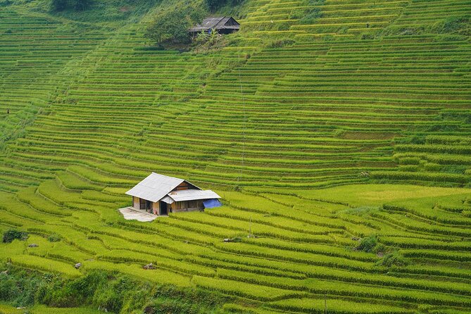 Sapa Trekking 3 Days 2 Nights (Homestay) - Departure From Hanoi - Price and logistics: what the roughly $99 covers (and what it doesn’t)