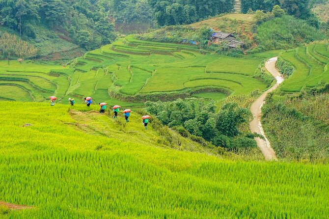 Sapa Trekking 3 Days 2 Nights (Homestay) - Departure From Hanoi - Who this Sapa trek fits best (and who might want a different option)
