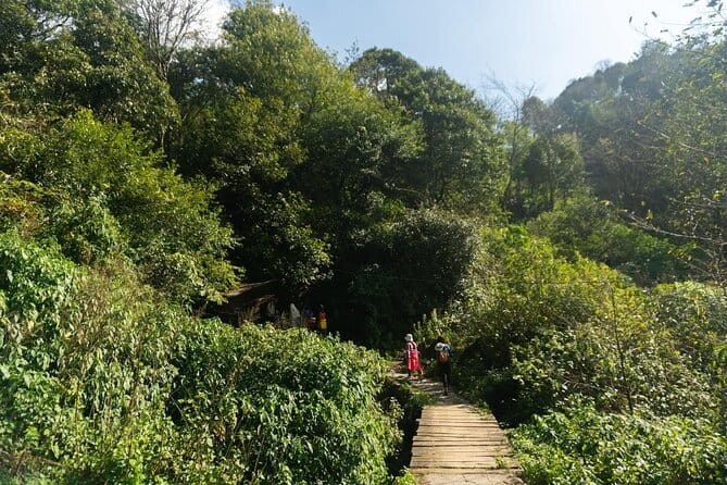 Sapa Trekking & Cooking with H’Mong Locals –Local Culture - Y Linh Ho H’Mong House Cooking Class: Hands-On Food With a Full Vietnamese Meal