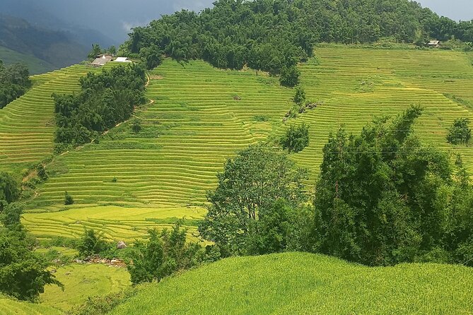 Sapa Trekking / Hiking through Sapa Valley with native Hmong - Start point in Sapa: meeting at 8:30am (and pickup)
