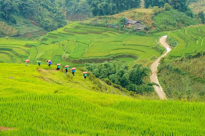 Sapa Trekking & Homestay 2 Days 1 Night - Price and logistics: what the $53.75 really buys