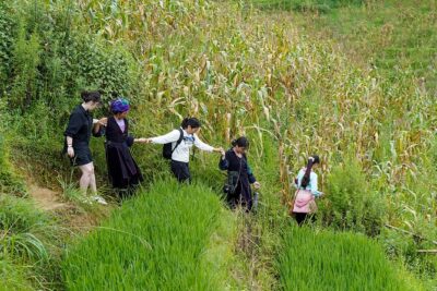 Sapa Trekking & Homestay 2 Days 1 Night - Hanoi pickup to Sapa: early starts, long roads, real breaks