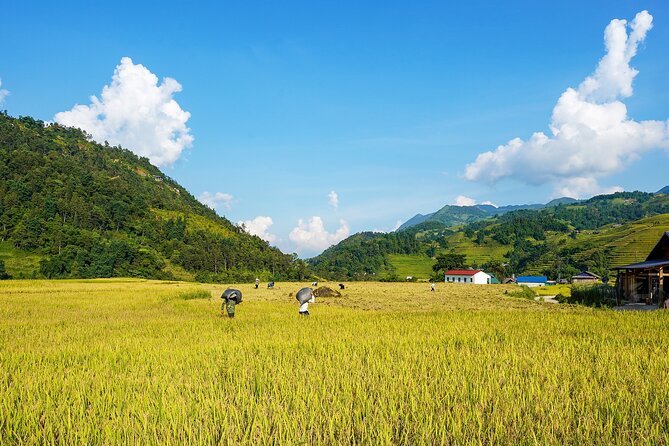 Sapa Trekking & Homestay 2 Days 1 Night - Who this tour suits best