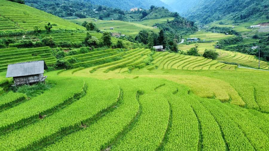 Sapa: Trekking Sapa One Day With Group Tour - Y Linh Ho village: Black Hmong homes, textiles, and daily rhythm