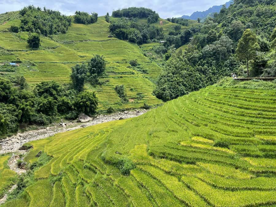 Sapa: Trekking Sapa One Day With Group Tour - Choosing the right walking pace (and not letting mud fool you)