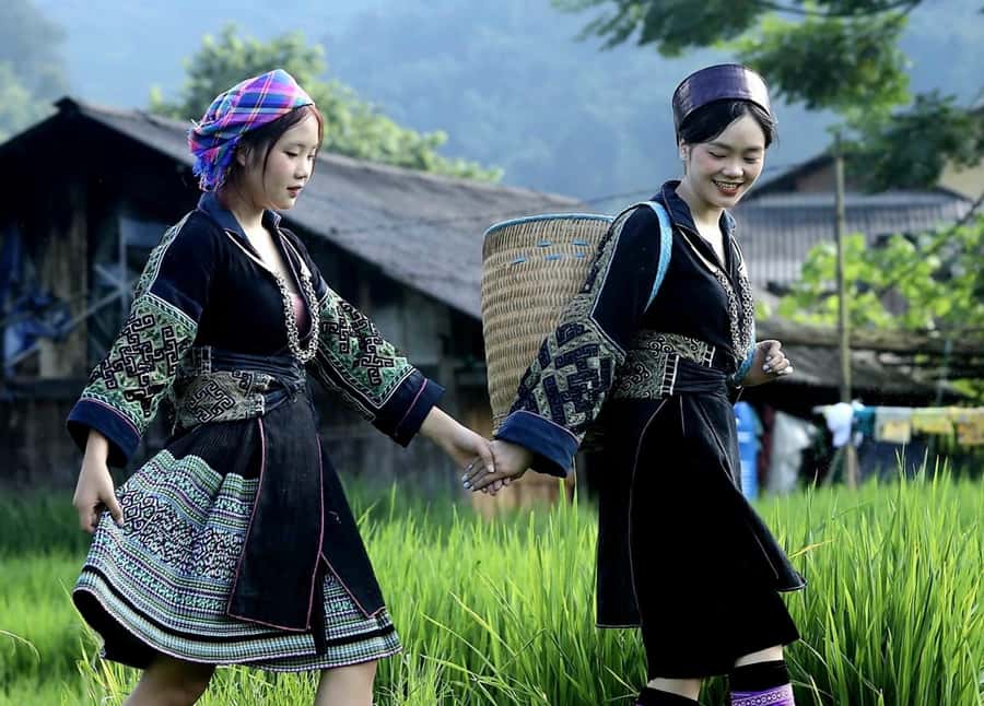 Sapa: Trekking Through Terraced Rice Fields & Valley 1 Day - Key highlights to look for