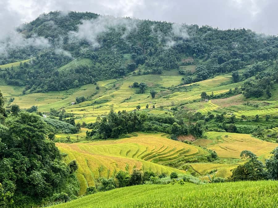 Sapa: Trekking Through Terraced Rice Fields & Valley 1 Day - Lao Chai Village: H’Mong houses and textile work you can actually see