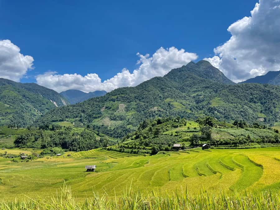 Sapa: Trekking Through Terraced Rice Fields & Valley 1 Day - Lunch by the stream: why it feels like part of the day