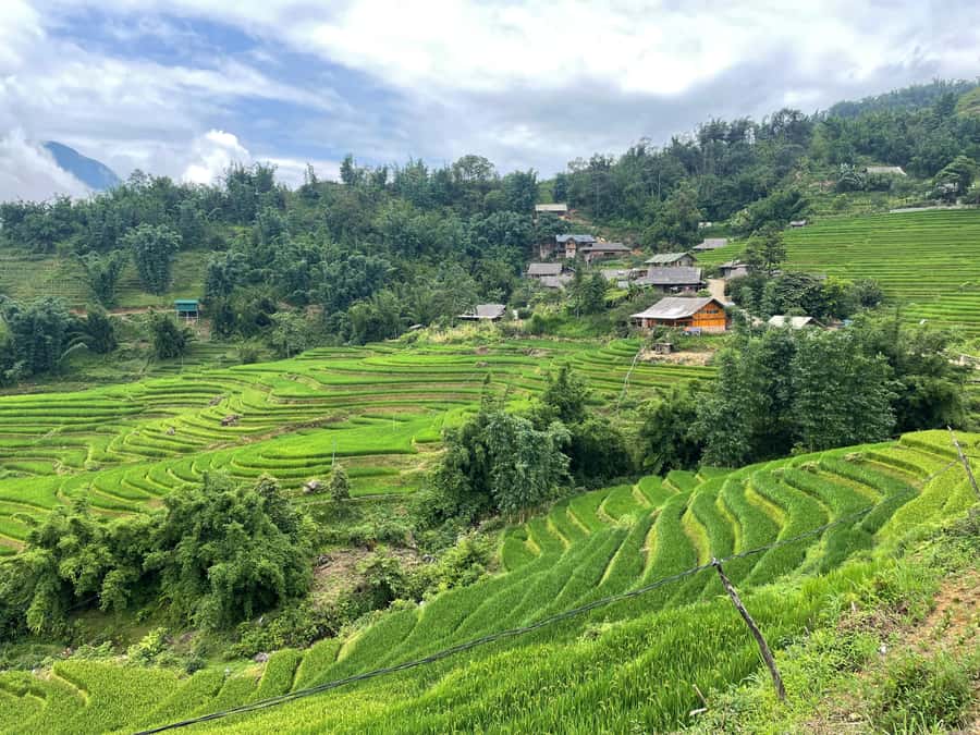 Sapa: Trekking Through Terraced Rice Fields & Valley 1 Day - Ta Van Village and the Hoang Lien Son views