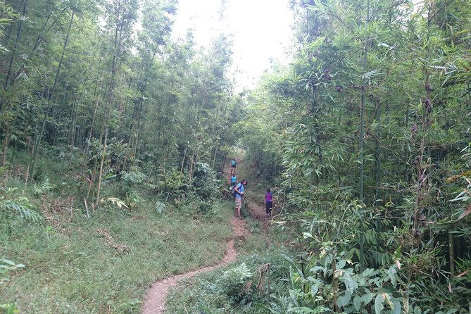 Sapa Trekking Tour - 1 day - A one-day trek that actually feels like a full experience