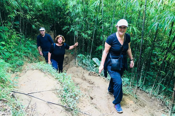 Sapa Trekking Tour - 1 day - The Ta Van Giay walk: rice terraces, a suspension bridge, and rock carvings