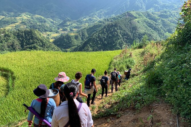 Sapa Trekking Tour 2 Days 1 Night By Bus - Entering Sapa: meet your guide and choose your overnight style