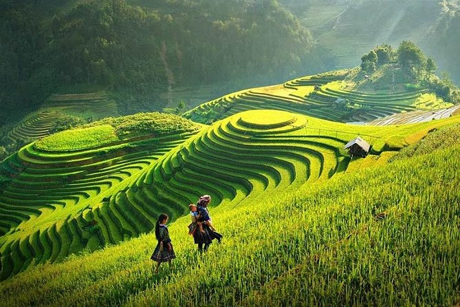 Sapa Trekking Tour 2 Days 1 Night By Bus - Day 1 trekking: Muong Hoa Valley, Black H’mong villages, and a proper downhill day