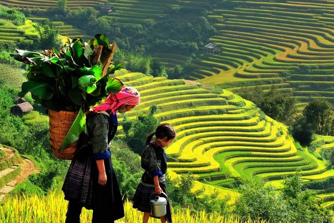 Sapa Trekking Tours - 2 Days 1 Night Stay At Homestay - Key highlights worth your attention