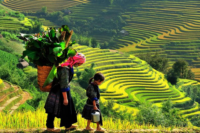 Sapa Trekking Tours - 2 Days 1 Night Stay At Homestay - A Sapa trek that runs on logistics (so you don’t have to)