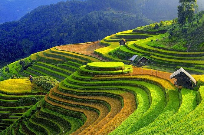 Sapa Trekking Tours - 2 Days 1 Night Stay At Homestay - Day 2: Y Linh Ho, Lao Chai, and Ta Van village walking loop