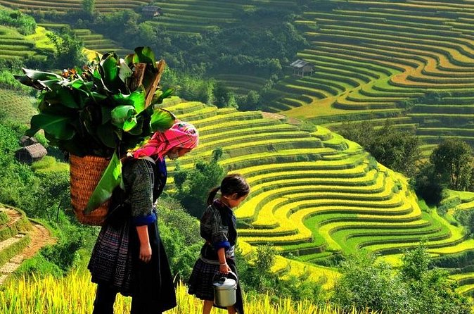Sapa Trekking Tours - 2 Days 1 Night Stay At Homestay - The guides are the difference: energetic, friendly, and in control