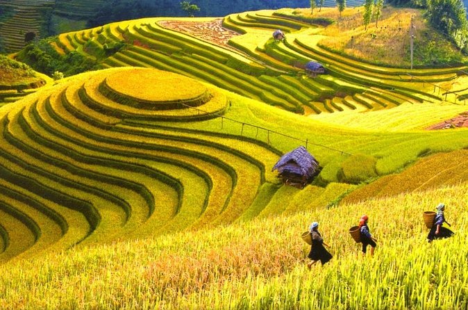 Sapa Trekking Tours - 2 Days 1 Night Stay At Homestay - Price and value: what $109 really includes (and what you still pay)