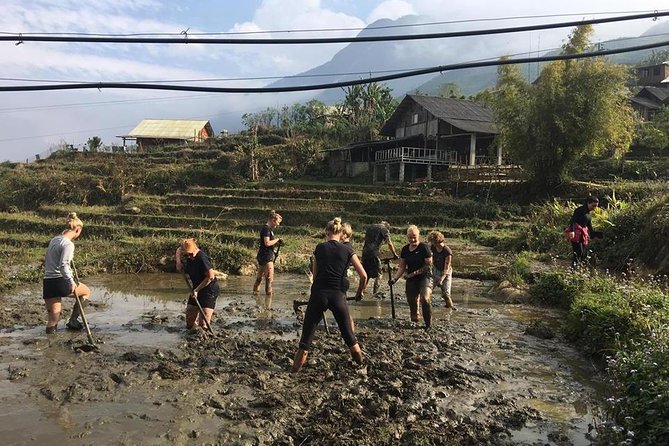 Sapa trekking - Unique Route - 2D1N - Price and value: what $116.93 buys in the real world