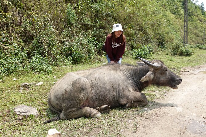 Sapa Valley Trek and Homestay - 3D2N - Price and value: what you’re really paying for at $170