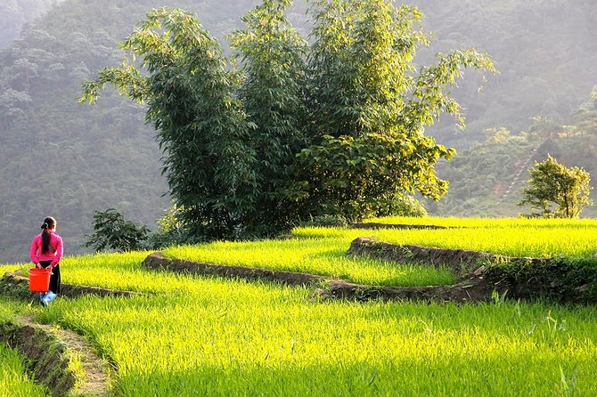 Sapa Valley Trek and Homestay - 3D2N - Ta Van homestay night: hot shower, dinner, and learning by watching
