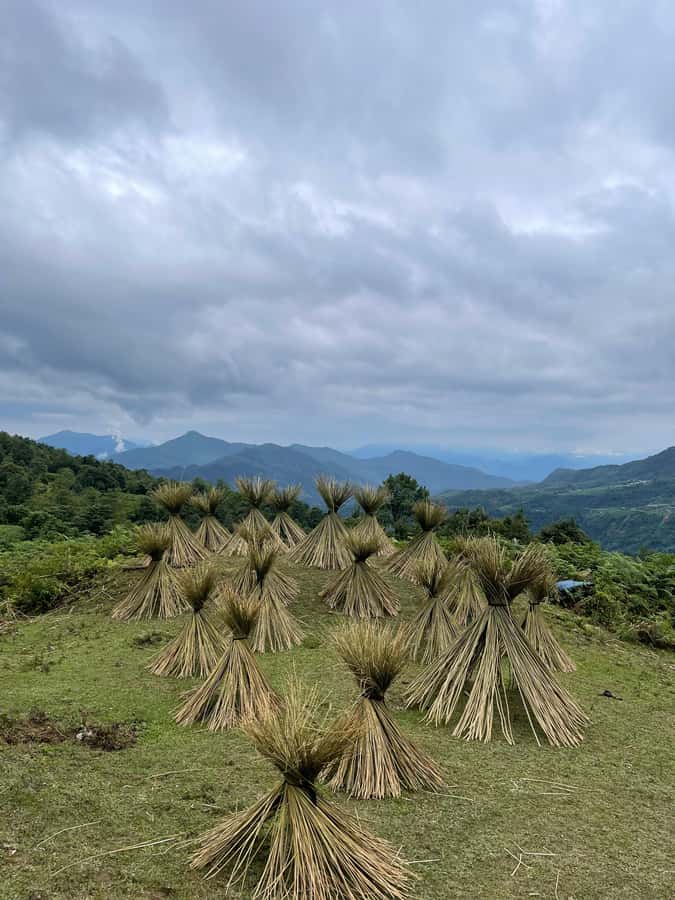 Sapa: Y Linh Ho - Lao Chai, and Ta Van Trekking Day Tour - Lao Chai: Crafts, Conversations, and the Valley Feeling Real