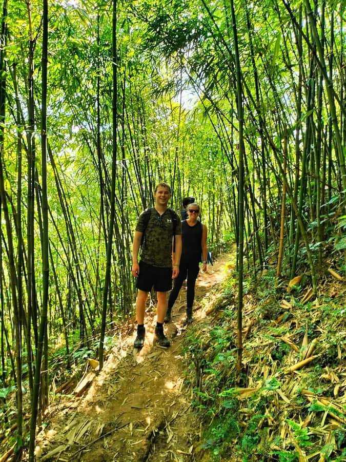 Sapa: Y Linh Ho - Lao Chai, and Ta Van Trekking Day Tour - Price and Value: Why $19 Can Make Sense Here
