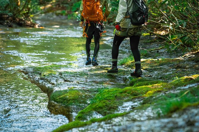 Sawanobori River Trekking Tour - Safety gear and rope-assisted moments: don’t skip the instructions