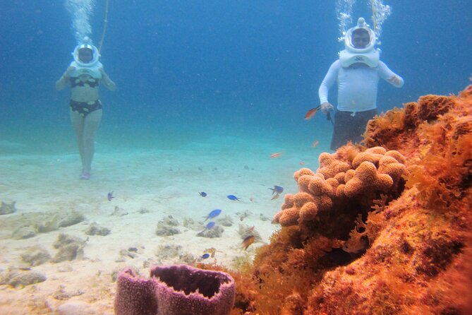 Sea Trek Adventure at Chankanaab National Park - Meeting at Chankanaab: Easy to Find, Worth Arriving Early