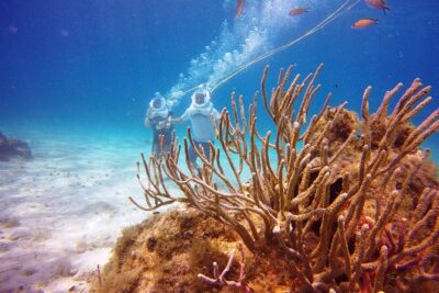 Sea Trek Adventure at Chankanaab National Park - Timing Your Day Around Water Time (So You’re Not Rushing)