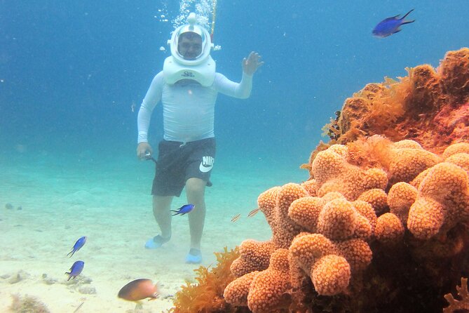 Sea Trek Adventure at Chankanaab National Park - Reef Time Length: Why You Should Watch the Clock