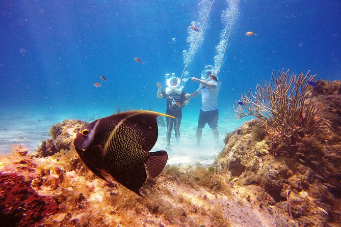 Sea Trek Adventure at Chankanaab National Park - Snorkeling After Sea Trek: Using the Gear While It’s Fresh
