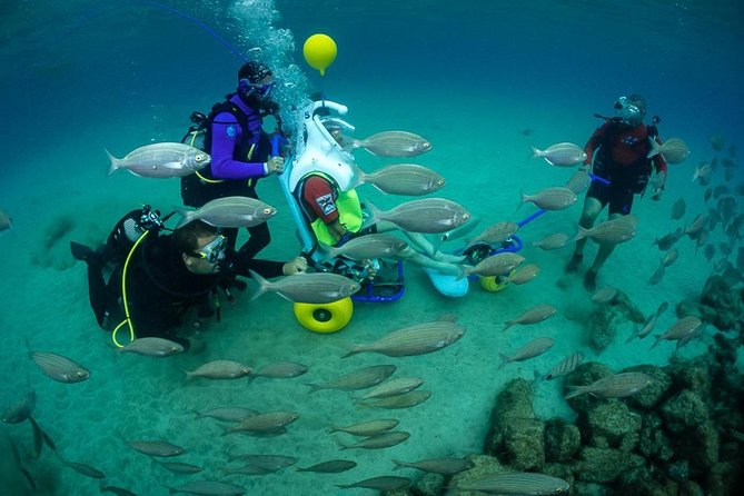 Sea Trek and Diving for handicaped people - Key highlights you’ll care about