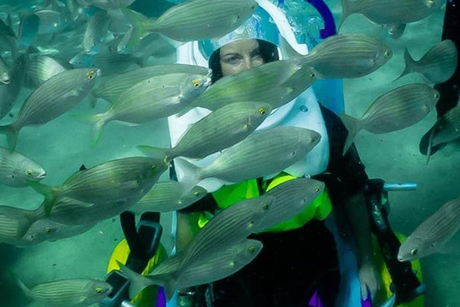 Sea Trek and Diving for handicaped people - The second underwater option: what you can expect (without the pressure)
