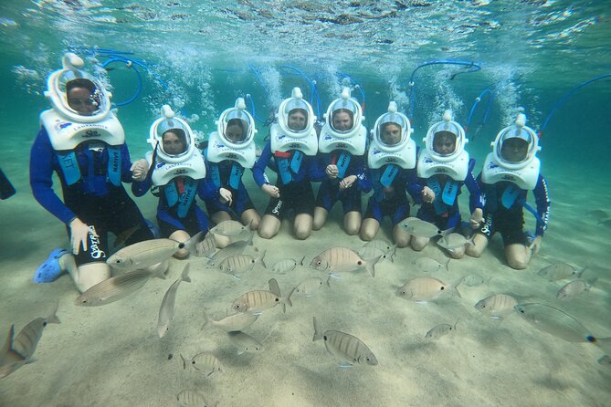 Sea Trek (exclusive in Lanzarote) - Gear and Comfort: Helmet, Wetsuit, Shoes