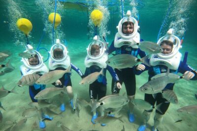 Sea Trek (exclusive in Lanzarote) - The Small-Group Bonus: Why Eight People Matters