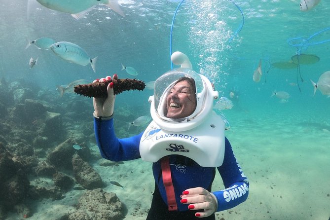 Sea Trek (exclusive in Lanzarote) - Marine Life: What You’ll Actually See Through the Helmet