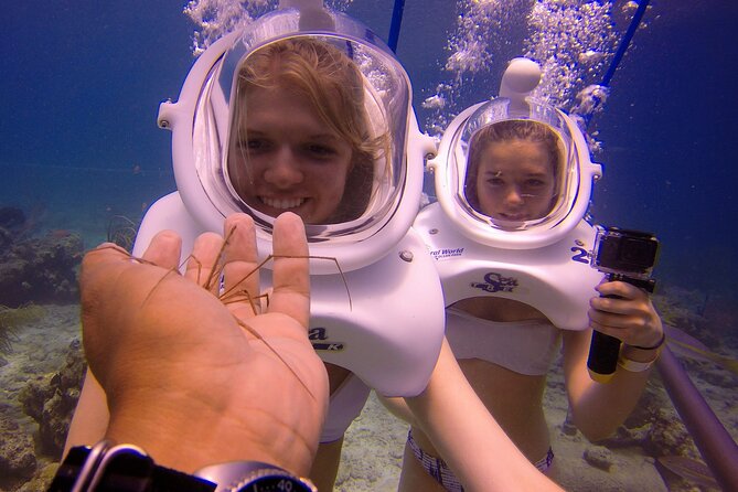 Sea Trek Helmet Dive at Coral World Ocean Park - Small group size matters: up to 8 people, one guide, calm pacing