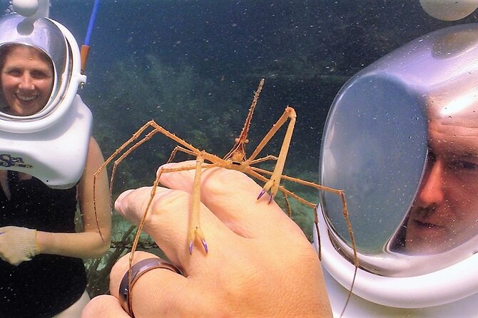 Sea Trek Helmet Dive at Coral World Ocean Park - Who can participate: health rules you should take seriously