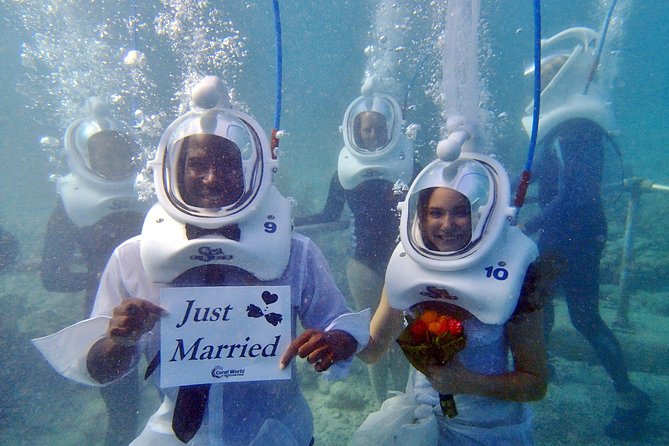 Sea Trek Helmet Dive at Coral World Ocean Park - Best fit: who should book SeaTrek, and who may feel mismatched