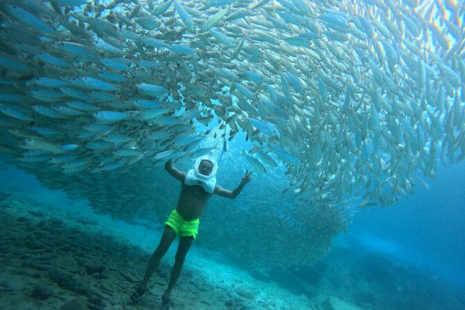 Sea Trek Underwater Walk in Tenerife – No Swimming Required - Walking on the ocean floor in Los Cristianos