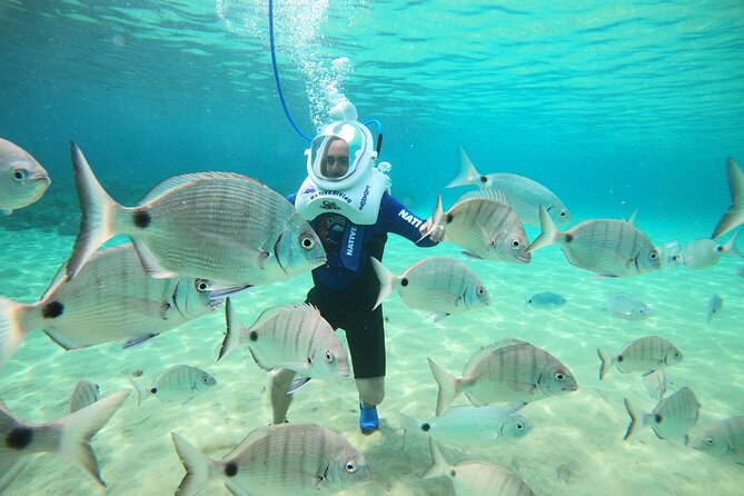 Sea Trek Underwater Walk in Tenerife – No Swimming Required - The underwater walk timing: what those 20–25 minutes feel like